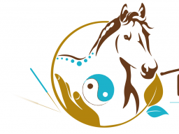 Webinar: Block 8 - Osteopunktur für Pferde