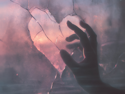 WENN GEFÜHLE STERBEN