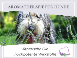 Aromatherapie für Hunde: Ätherische Öle  hochpotente Wirkstoffe
