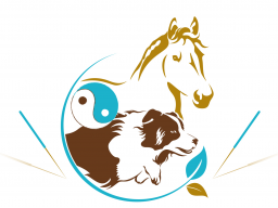 Webinar: Block 12 - Traditionelle Chinesische Medizin für Tiere