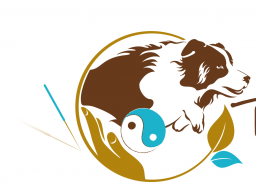 Webinar: Infowebinar zur Fachfortbildung "Osteopunktur für Hunde"