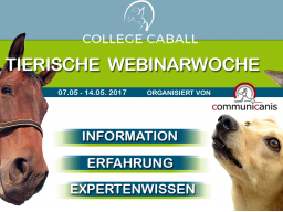 Webinar: Wunschberuf Pferdeosteopath | Referentin Angélique Behrens