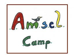 Webinar: Das Amsel Camp: 4 Storys - 4 Wochen - 40 Kunden