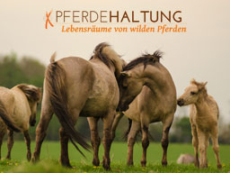 Webinar: Pferdehaltung