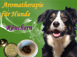 Webinar: Aromatherapie für Hunde  Räuchern
