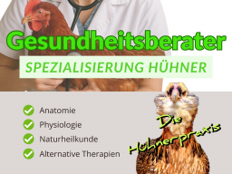 GESUNDHEITSBERATER FÜR HÜHNER - BLOCK 8