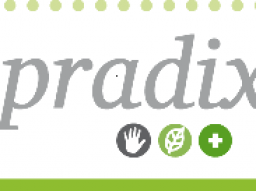 Webinar: PRADIX- Einführung in die Funktionsweise der Online-Plattform
