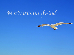 Webinar: Motivationsaufwind - erreiche endlich deine Ziele!