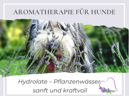 Aromatherapie für Hunde: Hydrolate  Pflanzenwässer, sanft und kraftvoll