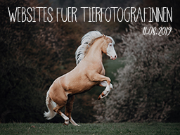 Webinar: Wordpress für Tierfotograf*innen