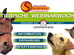 Webinar: Ein Einblick in die klassische Tierhomöopathie | Referentin Henriette Scharfenberg
