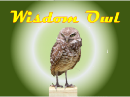 Webinar: Wisdom Owl