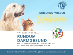 Webinar: Rundum darmgesund (Hund / Katz)