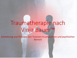 Webinar: Traumatherapie nach Vinja Bauer (TM) Block 3