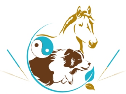 Webinar: Block 1 - Traditionelle Chinesische Medizin für Tiere