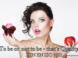 Webinar: Qualität neu gedacht: Die Revision von DIN EN ISO 9001