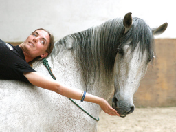 Webinar: Was ist Parelli Natural Horsemanship