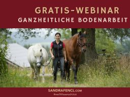 Webinar: Gratis-Webinar ganzheitliche Bodenarbeit