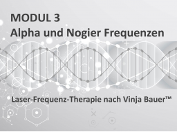 Modul 3 - Ausbildung zum Laser- und Laser-Frequenz-Therapeut nach Vinja Bauer™