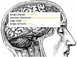 Webinar: Vokabeln und Fremdwörter lernen