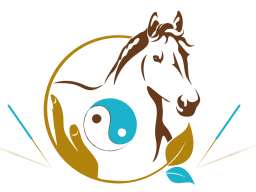Webinar: Block 7 - TCVM für Pferde - Advanced Praktiker