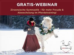 Webinar: Zirzensische Gymnastik - für mehr Freude & Abwechslung im Pferdetraining!