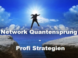 Webinar: Network Quantensprung - GRATIS