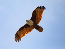 Mit Gott zurück zu sich selbst: Wege aus toxischen Beziehungen