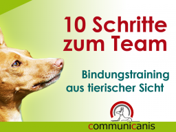 Webinar: 10 Schritte zum Team |  Mensch-Hund-Bindungstraining