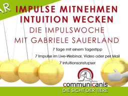 Webinar: Impulswoche mit Gabriele Sauerland | Intuition & Impulse