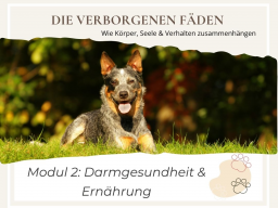 Die verborgenen Fäden  Wie Körper, Seele & Verhalten zusammenhängen