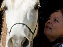 Webinar: Info- & Erlebnisabend: HorseTalk - Die Welt mit den Sinnen der Pferde wahrnehmen