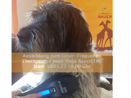 Webinar: Ausbildung zum Laser- und Laser-Frequenz-Therapeut nach Vinja Bauer™  Modul 1
