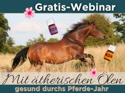 Gesund durchs Pferde-Jahr mit ätherischen Ölen