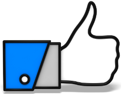 Webinar: Erfolgreiche Werbung mit FaceBook, auch mit PPC