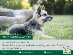 Webinar: Graue Schnauzen - alte Hunde im Alltag und beim Training