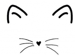 Hilfe, meine Katze ist unsauber!