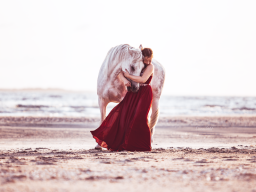 Webinar: Emotionale Pferdebilder schaffen - Posing, Licht & Bearbeitung 2.0
