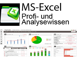 Webinar: MS-Excel Experten- und Analysewissen (4 Abendseminare))