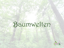 Webinar: Baumwelten