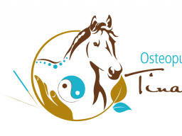 Webinar: Block 2 - Osteopunktur für Pferde