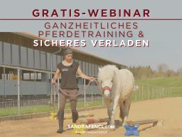 Webinar: GRATIS Webinar zum ganzheitlichen Pferdetraining & sicheren Verladen