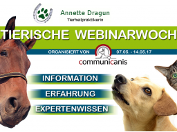 Webinar: Allergien beim Hund  (Annette Dragun)