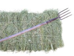 Ausbildung Pferdeernährungsberater/in Block III, Futtermittel