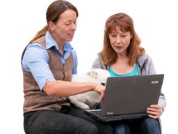 Prüfungsblock Hundeernährungs- und Gesundheitsberater *in, Block 15
