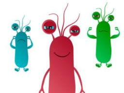 Ausbildung Hundeernährungsberater / Gesundheitsberater, Block 7 Magen-Darm-/Erkrankungen