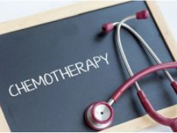 Hundeernährungsberater / Gesundheitsberater*in, Block 11 Epilepsie / Neoplasie