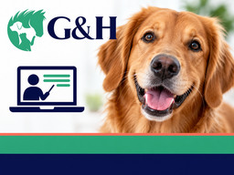 kostenloser Infoabend | Ausbildung HundeernährungsberaterIn